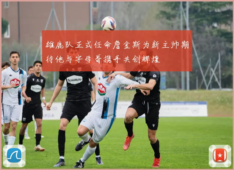 雄鹿队正式任命詹金斯为新主帅期待他与字母哥携手共创辉煌